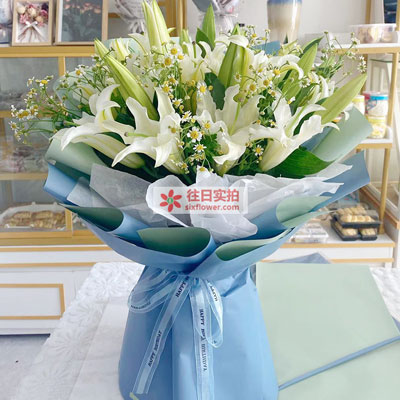 昭通8支白色多头百合洋甘菊,互倾的思念
