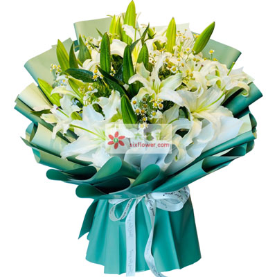 昭通8支白色多头百合洋甘菊，如潮的思念