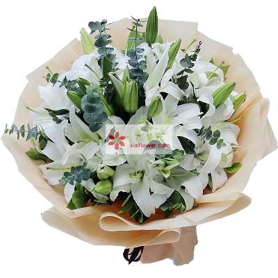 昭通9支白色多头百合，祝福你幸福